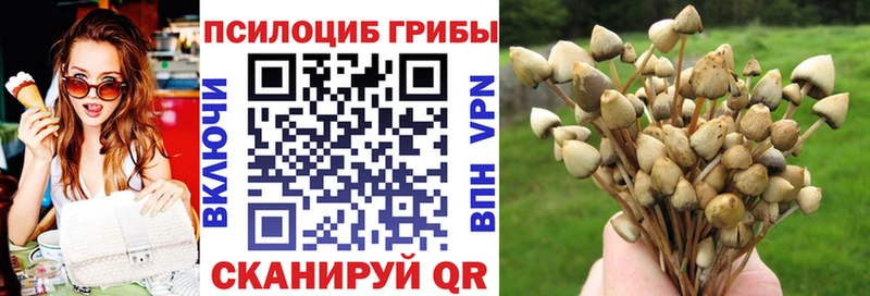 наркота  Княгинино  hydra онион  Галлюциногенные грибы мухоморы 